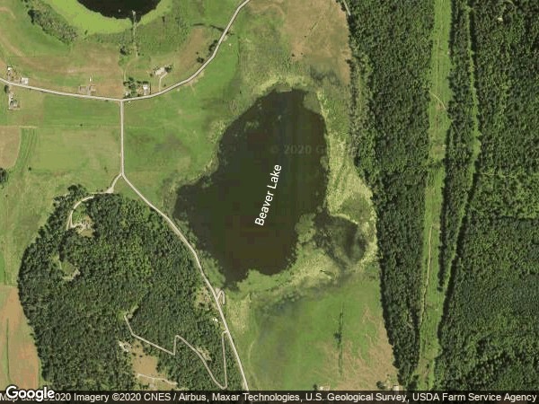 Image of Beaver Lake