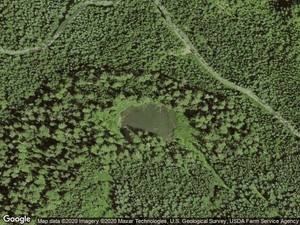 Image of Lone Tree