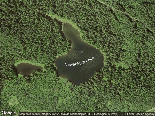 Image of Newaukum Lake