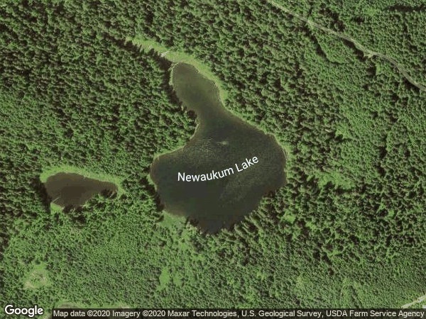 Image of Newaukum Lake
