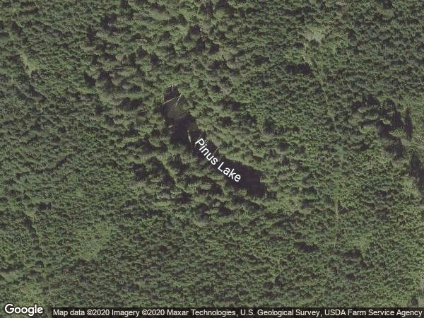 Image of Pinus Lake