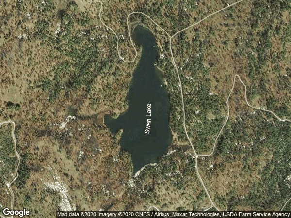 Image of Swan Lake