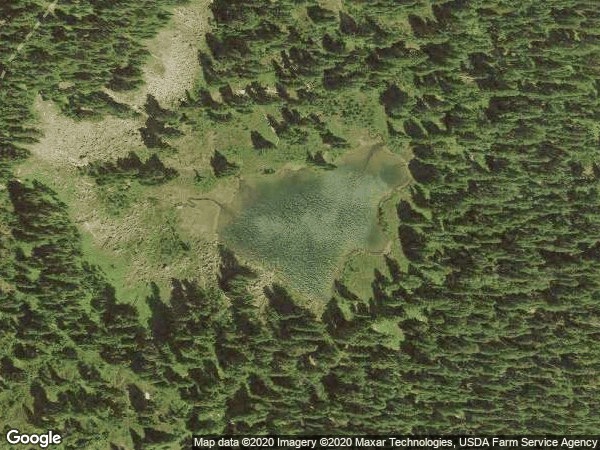 Image of Swimming Deer