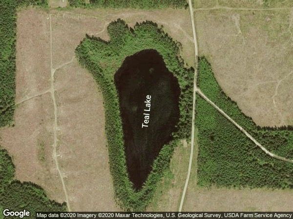 Image of Teal Lake